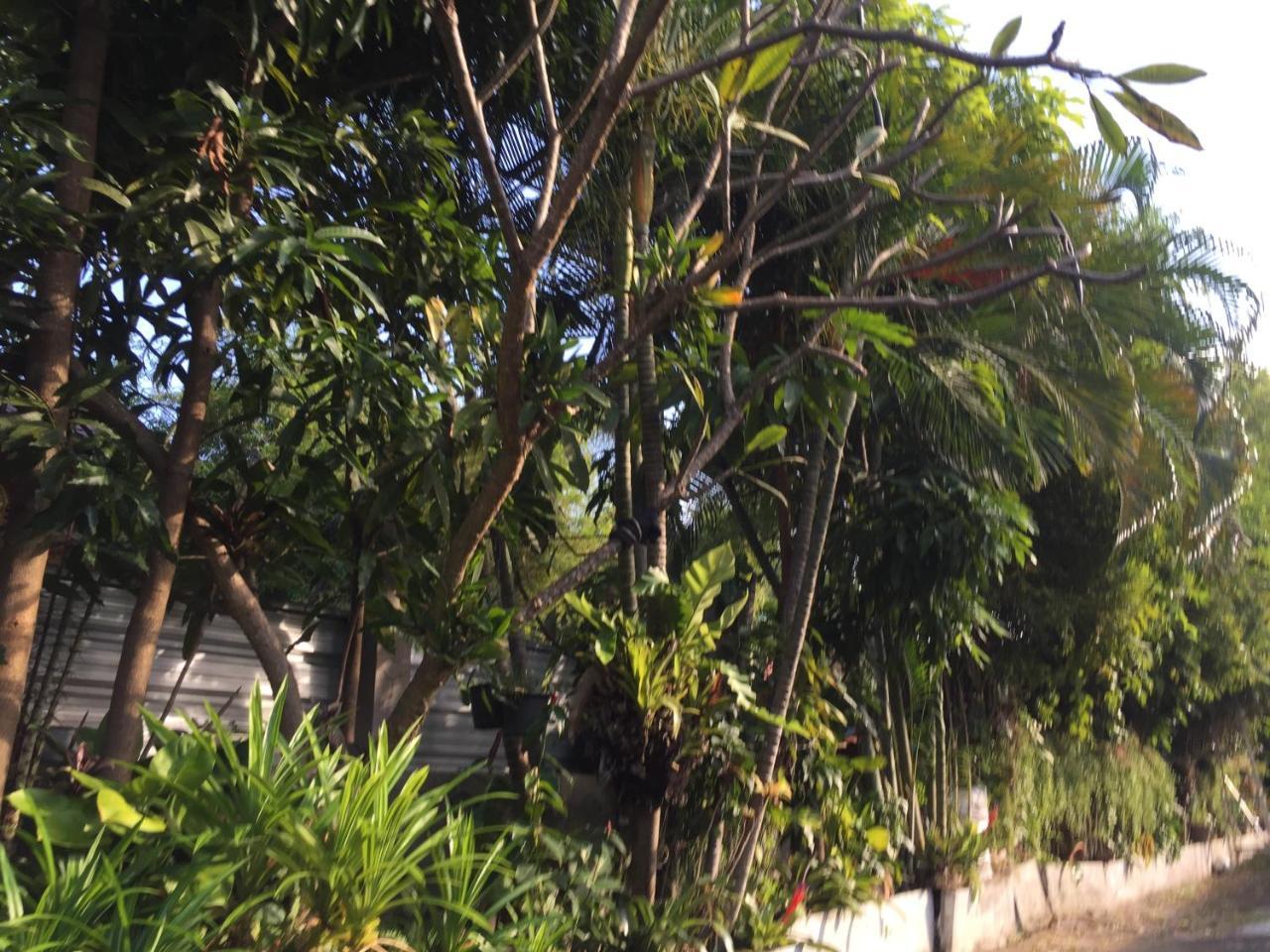 Nan Inn Bungalow Karon Екстер'єр фото